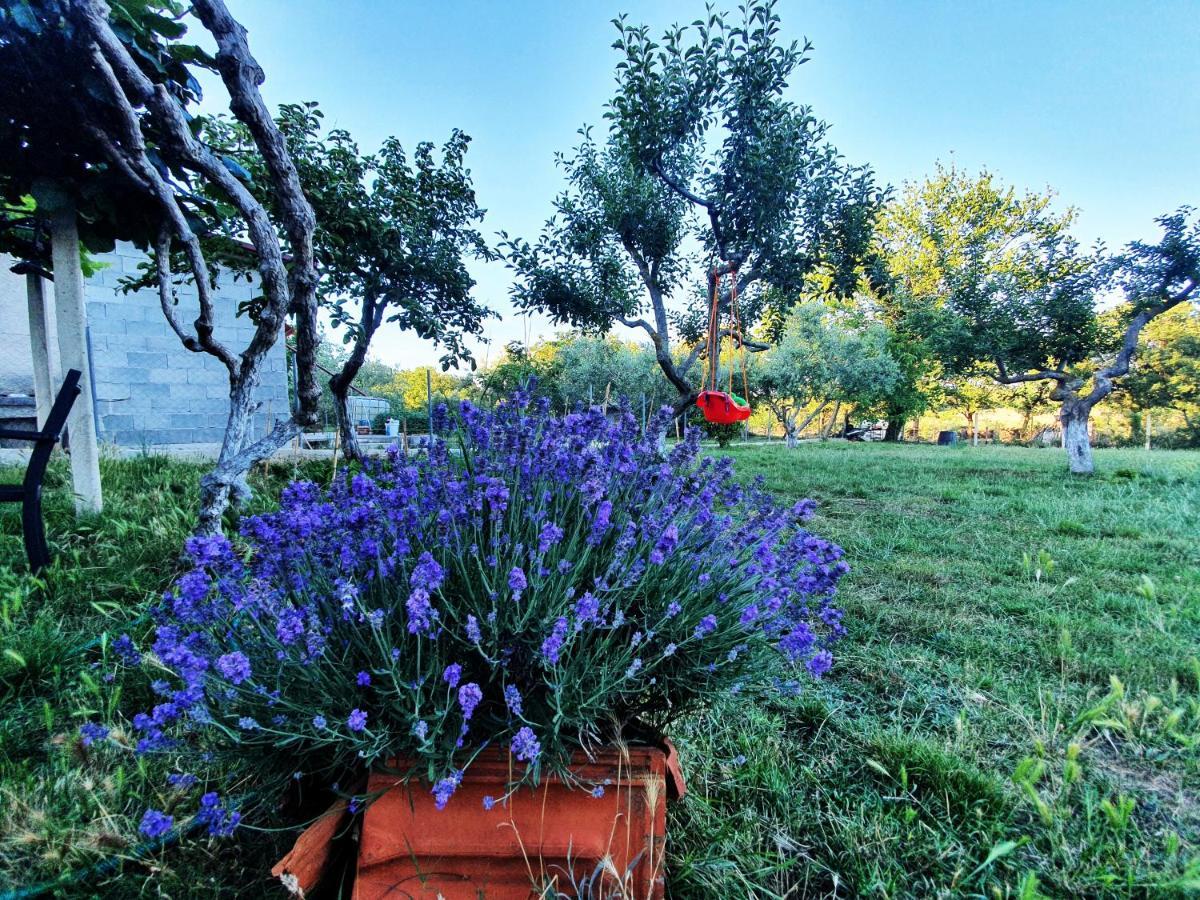 ميدولين Una'S Cottage المظهر الخارجي الصورة
